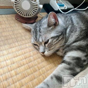 新潟デリヘル 五十路マダム新潟店(カサブランカグループ)(イソジマダムニイガタテン) 夏目みな(51)の7月29日写メブログ「ゴロゴロ」