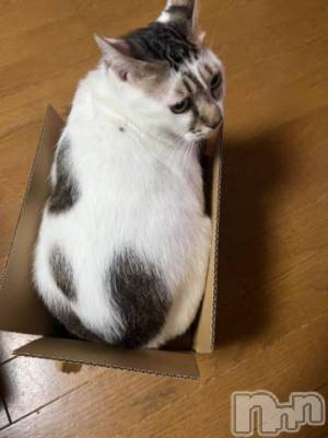 新潟デリヘル 五十路マダム新潟店(カサブランカグループ)(イソジマダムニイガタテン) 夏目みな(51)の8月24日写メブログ「ぎゅーぎゅー」