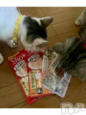 新潟デリヘル 五十路マダム新潟店(カサブランカグループ)(イソジマダムニイガタテン) 夏目みな(51)の8月27日写メブログ「僕たちの」