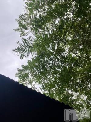 新潟デリヘル 五十路マダム新潟店(カサブランカグループ)(イソジマダムニイガタテン) 夏目みな(51)の9月18日写メブログ「暇すぎて」