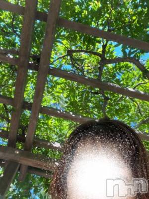 新潟デリヘル 五十路マダム新潟店(カサブランカグループ)(イソジマダムニイガタテン) 夏目みな(51)の9月24日写メブログ「1時間」