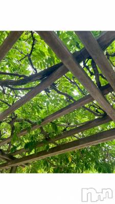 新潟デリヘル 五十路マダム新潟店(カサブランカグループ)(イソジマダムニイガタテン) 夏目みな(51)の10月2日写メブログ「ボーーー」