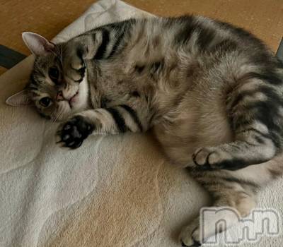 新潟デリヘル 五十路マダム新潟店(カサブランカグループ)(イソジマダムニイガタテン) 夏目みな(51)の11月28日写メブログ「うんうん」