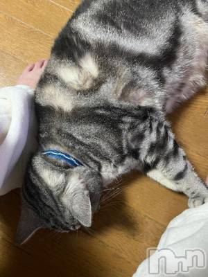 新潟デリヘル 五十路マダム新潟店(カサブランカグループ)(イソジマダムニイガタテン) 夏目みな(51)の3月26日写メブログ「時々甘える」