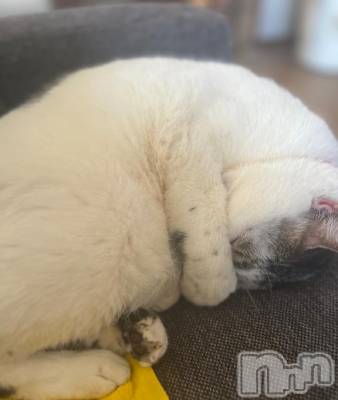 新潟デリヘル 五十路マダム新潟店(カサブランカグループ)(イソジマダムニイガタテン) 夏目みな(51)の3月31日写メブログ「基準がわからん…」