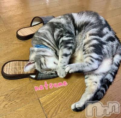 新潟デリヘル 五十路マダム新潟店(カサブランカグループ)(イソジマダムニイガタテン) 夏目みな(51)の4月7日写メブログ「雨…」