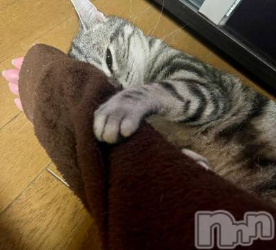 新潟デリヘル 五十路マダム新潟店(カサブランカグループ)(イソジマダムニイガタテン) 夏目みな(51)の4月8日写メブログ「バス停で」