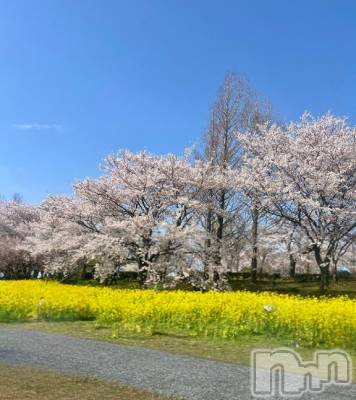 新潟デリヘル 五十路マダム新潟店(カサブランカグループ)(イソジマダムニイガタテン) 夏目みな(51)の4月14日写メブログ「今日で」