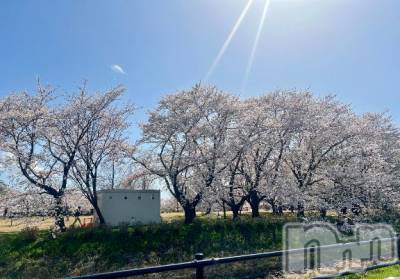 新潟デリヘル 五十路マダム新潟店(カサブランカグループ)(イソジマダムニイガタテン) 夏目みな(51)の4月15日写メブログ「終わり」
