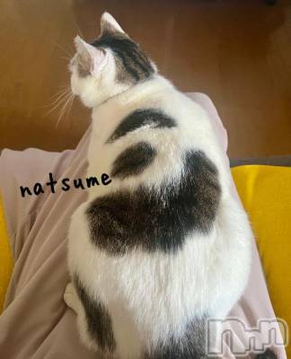 新潟デリヘル 五十路マダム新潟店(カサブランカグループ)(イソジマダムニイガタテン) 夏目みな(51)の4月20日写メブログ「5秒」