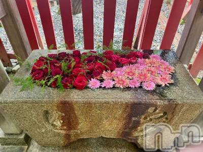 新潟デリヘル 五十路マダム新潟店(カサブランカグループ)(イソジマダムニイガタテン) 夏目みな(51)の6月1日写メブログ「6月1日」