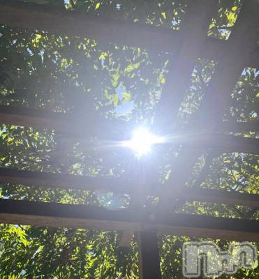 新潟デリヘル 五十路マダム新潟店(カサブランカグループ)(イソジマダムニイガタテン) 夏目みな(51)の7月2日写メブログ「[お題]from:答えは明日♪さん」