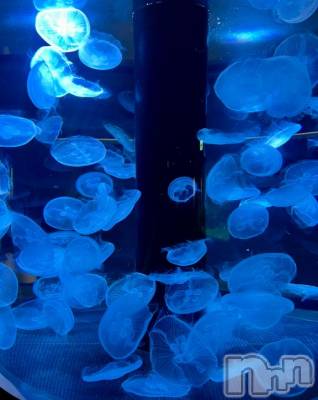 新潟デリヘル 五十路マダム新潟店(カサブランカグループ)(イソジマダムニイガタテン) 夏目みな(51)の7月7日写メブログ「七夕」