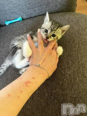 新潟デリヘル 五十路マダム新潟店(カサブランカグループ)(イソジマダムニイガタテン) 夏目みな(51)の7月9日写メブログ「傷だらけ」