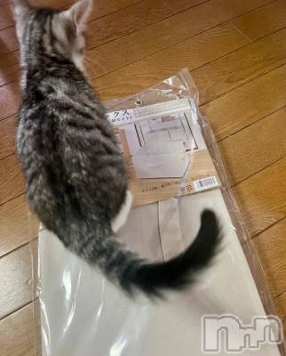 新潟デリヘル 五十路マダム新潟店(カサブランカグループ)(イソジマダムニイガタテン) 夏目みな(51)の7月20日写メブログ「小っちゃい子用」