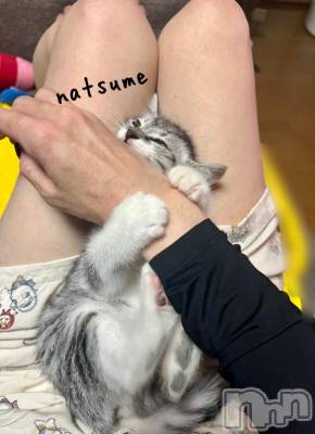 新潟デリヘル 五十路マダム新潟店(カサブランカグループ)(イソジマダムニイガタテン) 夏目みな(51)の7月27日写メブログ「1番好き」