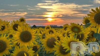 新潟デリヘル 五十路マダム新潟店(カサブランカグループ)(イソジマダムニイガタテン) 夏目みな(51)の8月16日写メブログ「タクシー」
