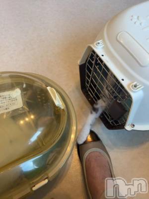 新潟デリヘル 五十路マダム新潟店(カサブランカグループ)(イソジマダムニイガタテン) 夏目みな(51)の8月20日写メブログ「[お題]from:ひまーさん」