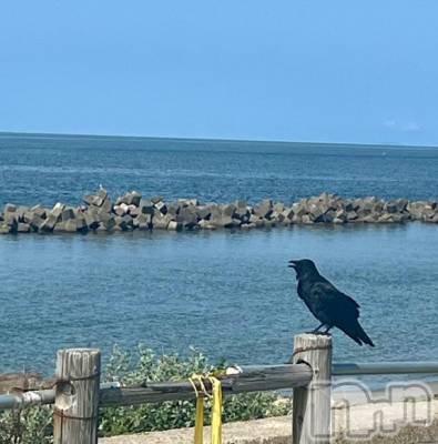 新潟デリヘル 五十路マダム新潟店(カサブランカグループ)(イソジマダムニイガタテン) 夏目みな(51)の9月19日写メブログ「お月見から葡萄」