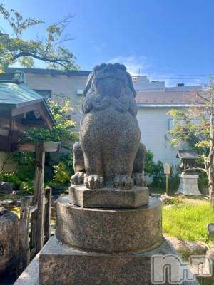 新潟デリヘル 五十路マダム新潟店(カサブランカグループ)(イソジマダムニイガタテン) 夏目みな(51)の9月19日写メブログ「回した」