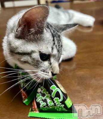 新潟デリヘル 五十路マダム新潟店(カサブランカグループ)(イソジマダムニイガタテン) 夏目みな(51)の9月21日写メブログ「綺麗なお姉さん」