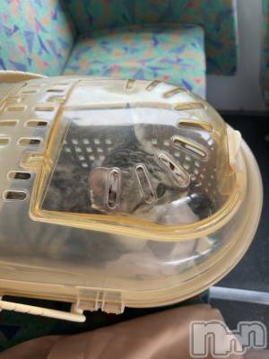 新潟デリヘル 五十路マダム新潟店(カサブランカグループ)(イソジマダムニイガタテン) 夏目みな(51)の10月28日写メブログ「生まれて初めて」