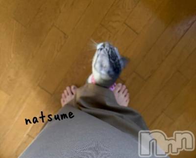 新潟デリヘル 五十路マダム新潟店(カサブランカグループ)(イソジマダムニイガタテン) 夏目みな(51)の12月11日写メブログ「スカートの中」