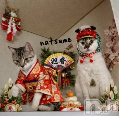 新潟デリヘル 五十路マダム新潟店(カサブランカグループ)(イソジマダムニイガタテン) 夏目みな(51)の1月1日写メブログ「改めまして、、」