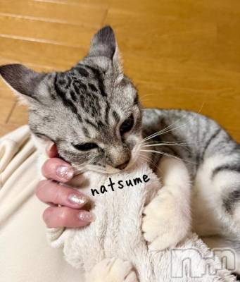 新潟デリヘル 五十路マダム新潟店(カサブランカグループ)(イソジマダムニイガタテン) 夏目みな(51)の2月4日写メブログ「決めてない」