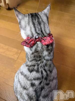 新潟デリヘル 五十路マダム新潟店(カサブランカグループ)(イソジマダムニイガタテン) 夏目みな(51)の2月11日写メブログ「シュシュ」