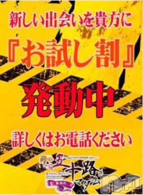 新潟デリヘル 五十路マダム新潟店(カサブランカグループ)(イソジマダムニイガタテン) 夏目みな(51)の2月18日写メブログ「お試し」