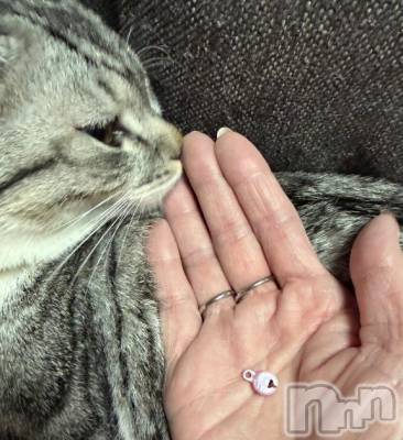 新潟デリヘル 五十路マダム新潟店(カサブランカグループ)(イソジマダムニイガタテン) 夏目みな(51)の2月20日写メブログ「何個目だ、、」