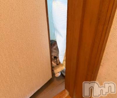 新潟デリヘル 五十路マダム新潟店(カサブランカグループ)(イソジマダムニイガタテン) 夏目みな(51)の2月21日写メブログ「毎回毎回」