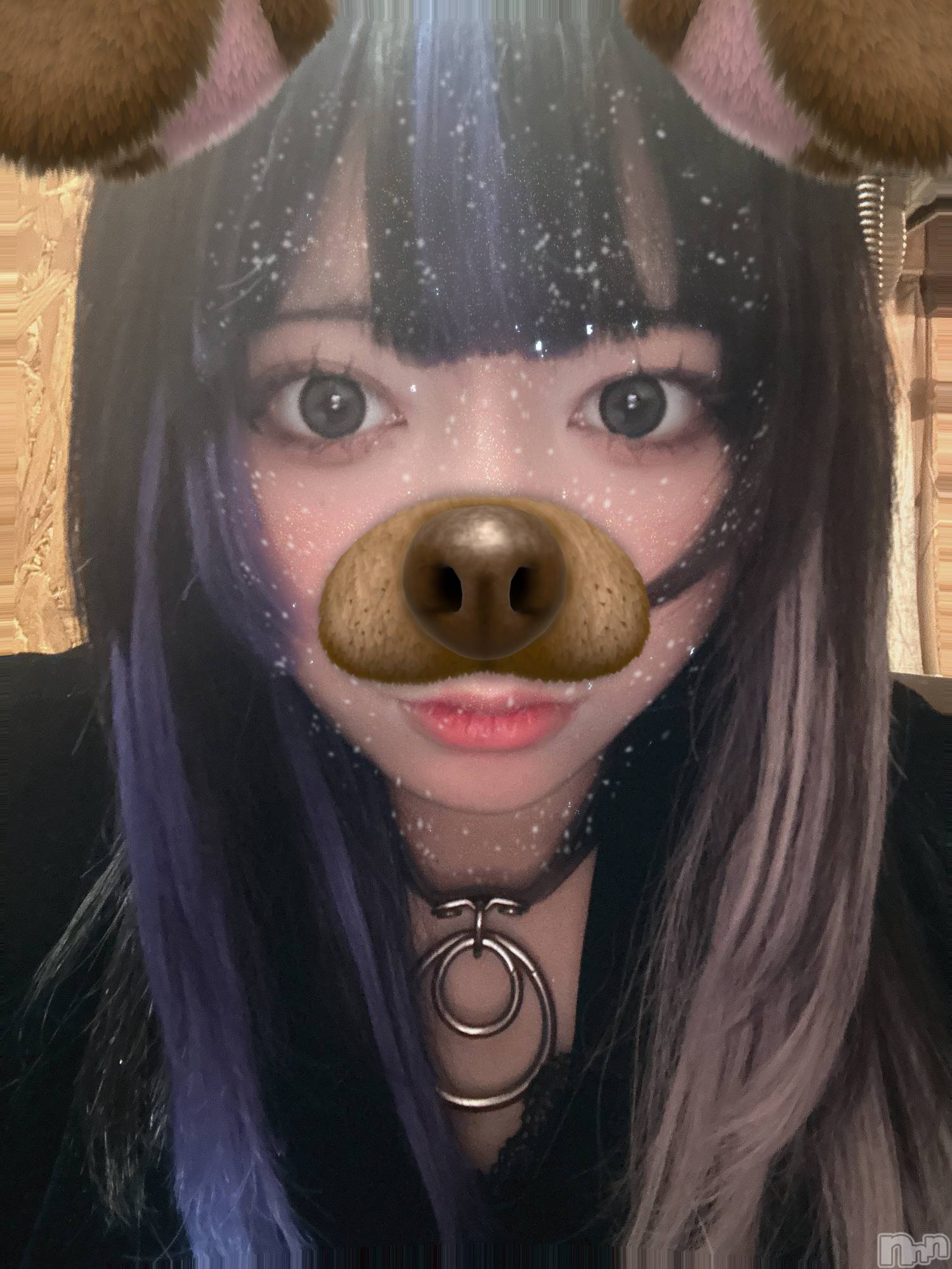 Įʥå륺СL'asile(饸) 2025ǯ117̥֥117 2255ʬΥ֥