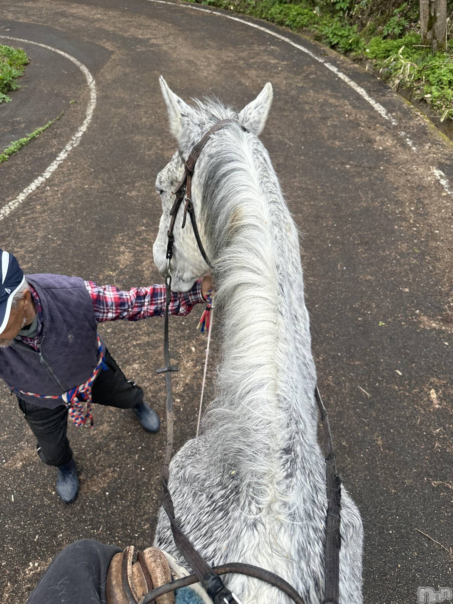 Įʥå륺СL'asile(饸) 2025ǯ418̥֥418 2242ʬΥ֥