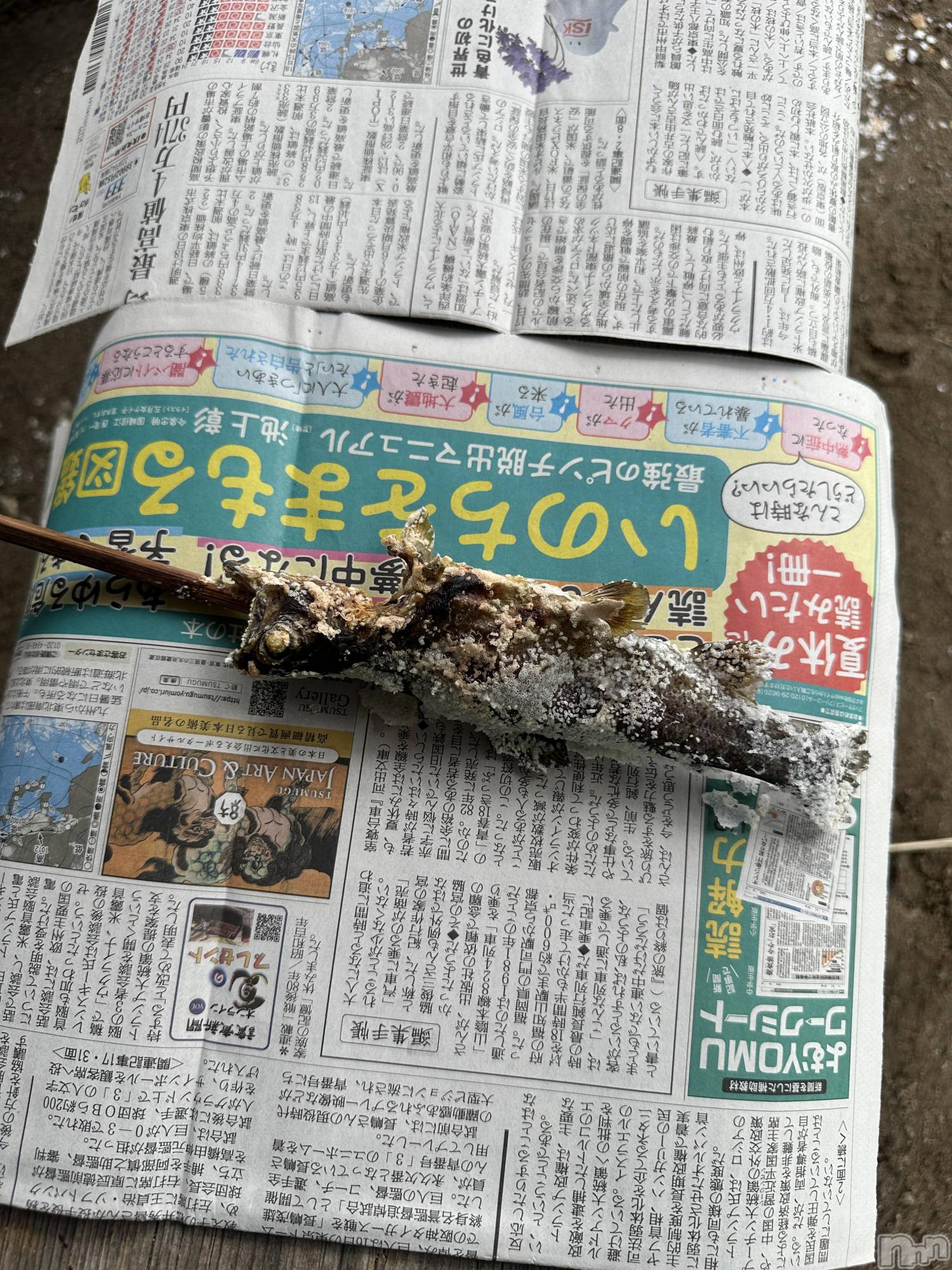 Įʥå륺СL'asile(饸) 2025ǯ1020̥֥1020 2116ʬΥ֥