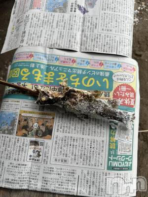 Įʥå륺СL'asile(饸) ʤʤߤ(21)1020̥֥1020 2116ʬΥ֥