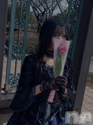 ��Į���ʥå��������륺�С�L'asile(�饸����) �ʤʤߤ�(21)��3��13���̥�֥�����´�ȡ���