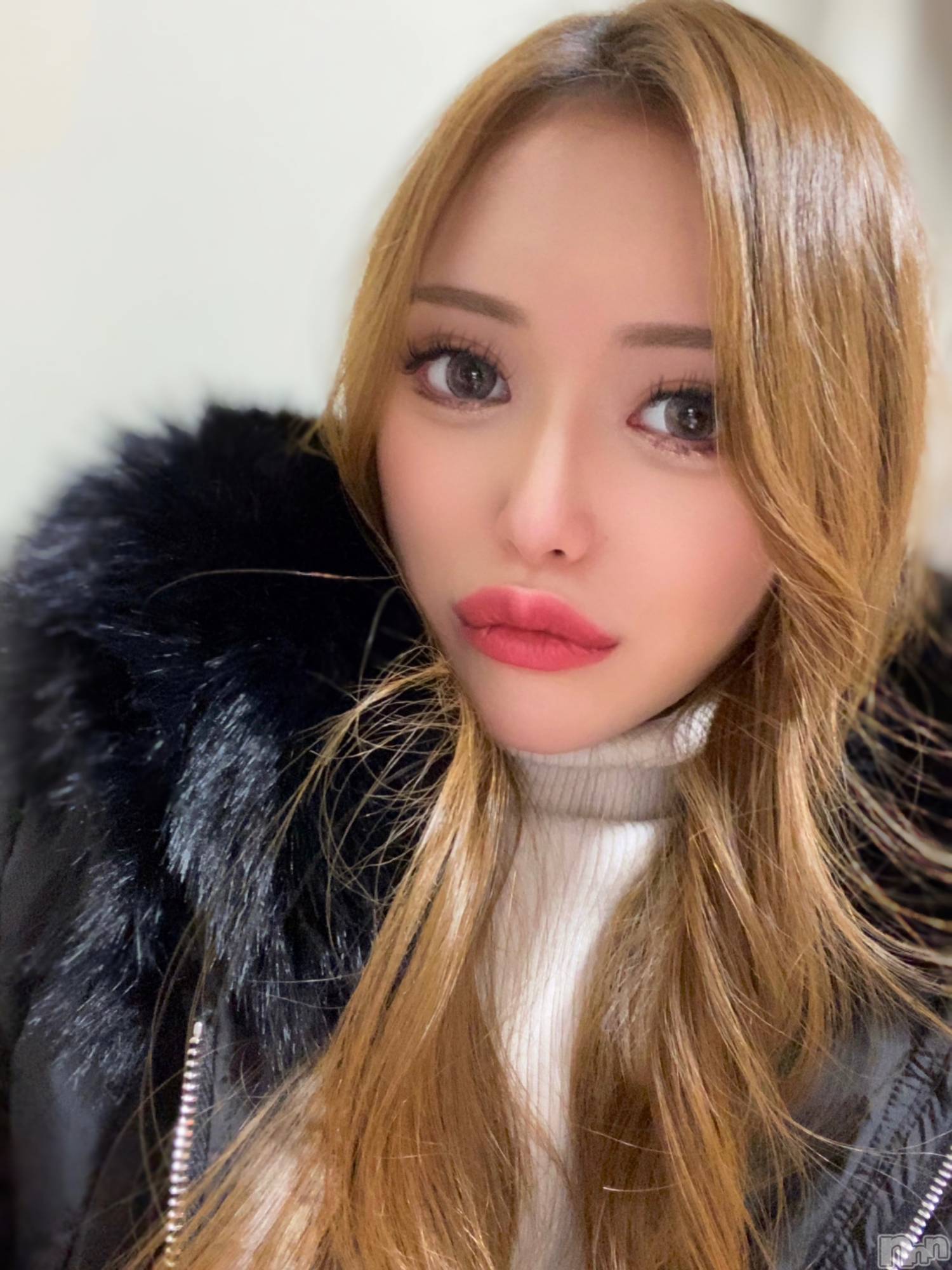 Х顦Club Ludan(֥) 2024ǯ112ְ̥֥¸ɡ