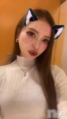 🐟🐟🐟