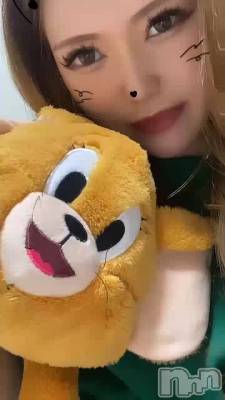 🐹🐹🐹