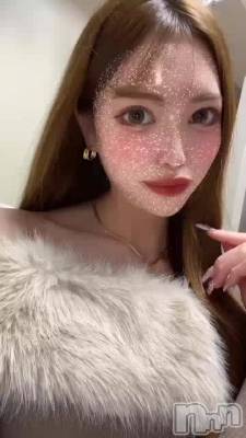 ٤🐻