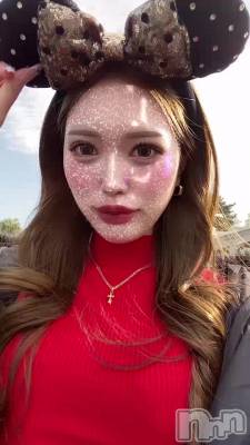 ✨🐭🏰✨