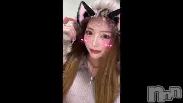 &#x2744;&#xFE0F;&#x1F431;&#x2744;&#xFE0F;