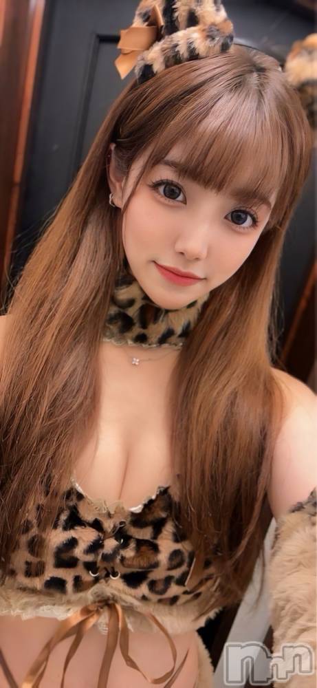 ƲХ顦CLUB FOUR GARDEN(֡եǥ) 64̥֥🐯💗