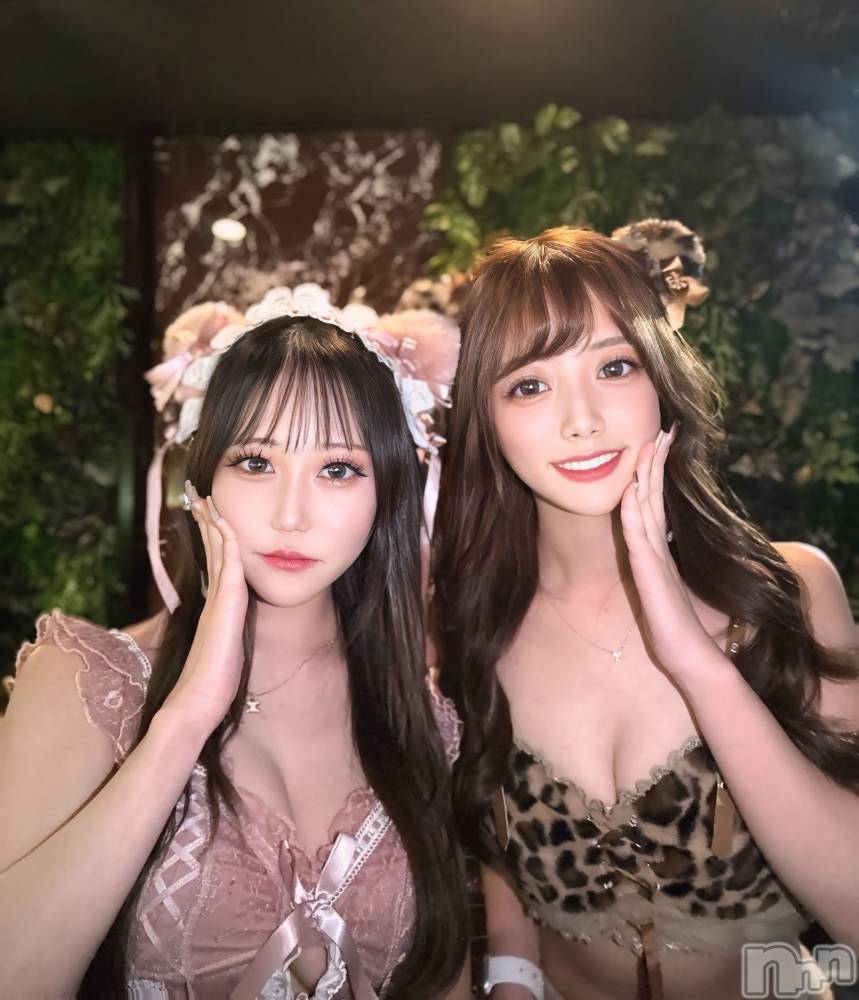 ƲХ顦CLUB FOUR GARDEN(֡եǥ) 1126̥֥🐱🐯🐾