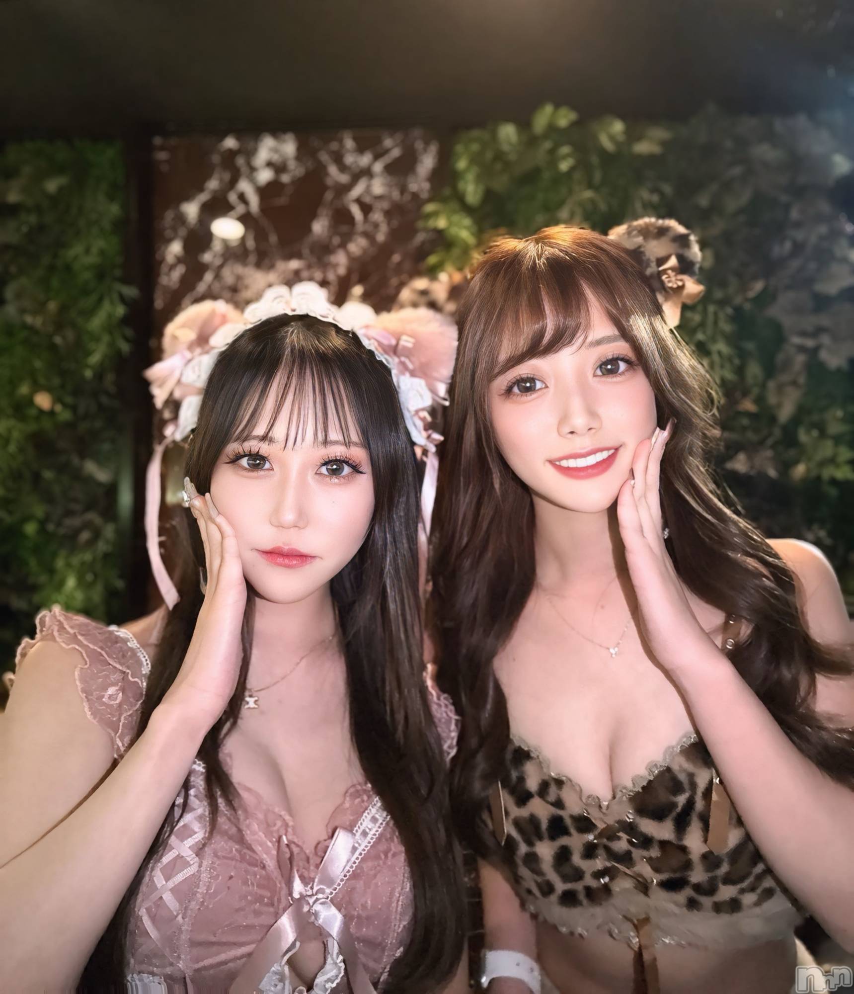 ƲХ顦CLUB FOUR GARDEN(֡եǥ) 2025ǯ1126̥֥🐱🐯🐾