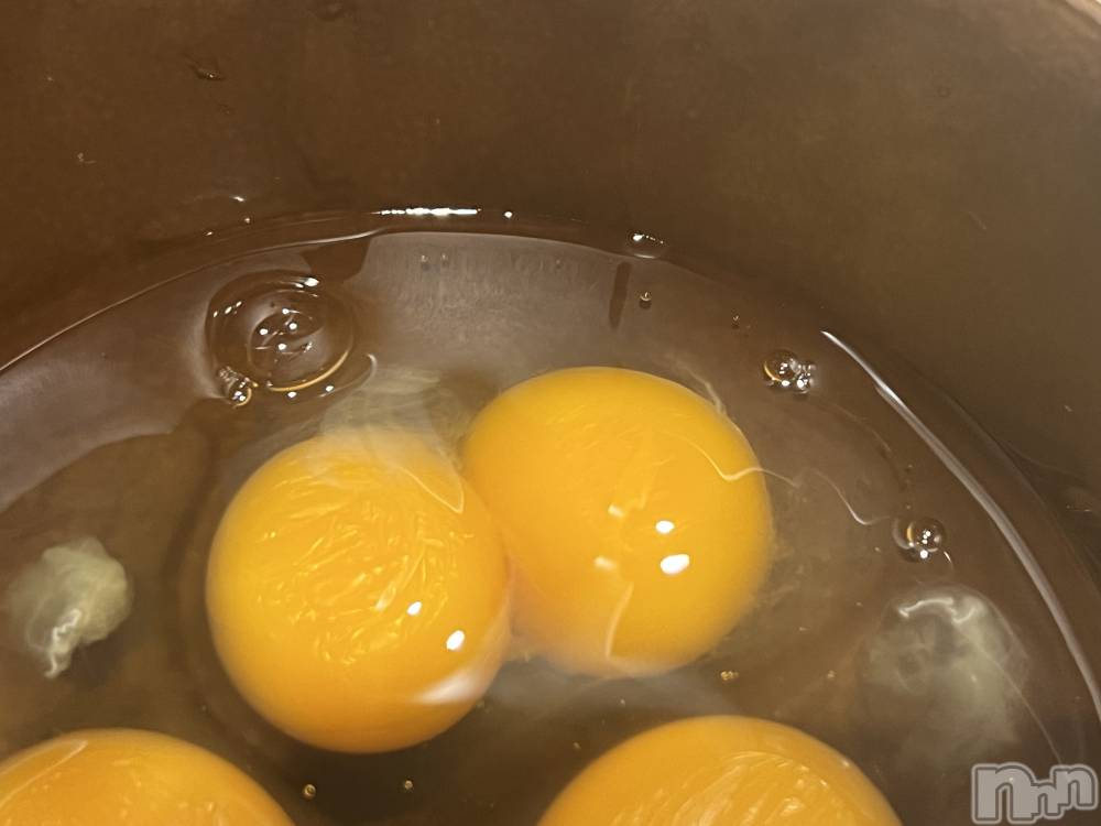 ʥå륺СʥåBar Peace(ʥåС ԡ) 520̥֥🍳🍳
