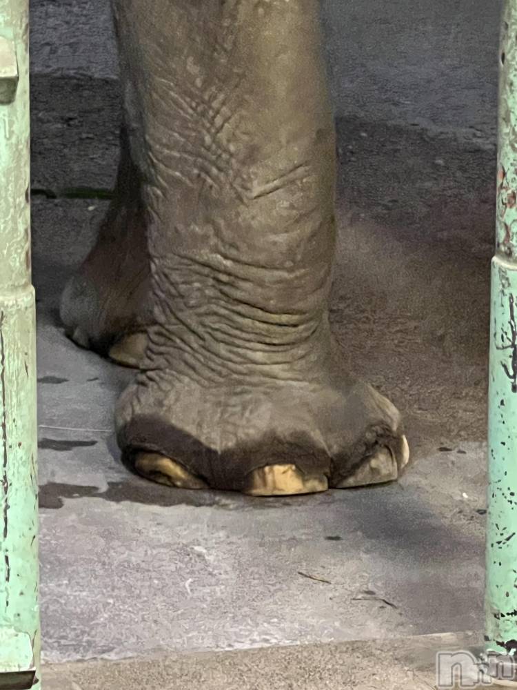 ʥå륺СʥåBar Peace(ʥåС ԡ) 826̥֥🐘