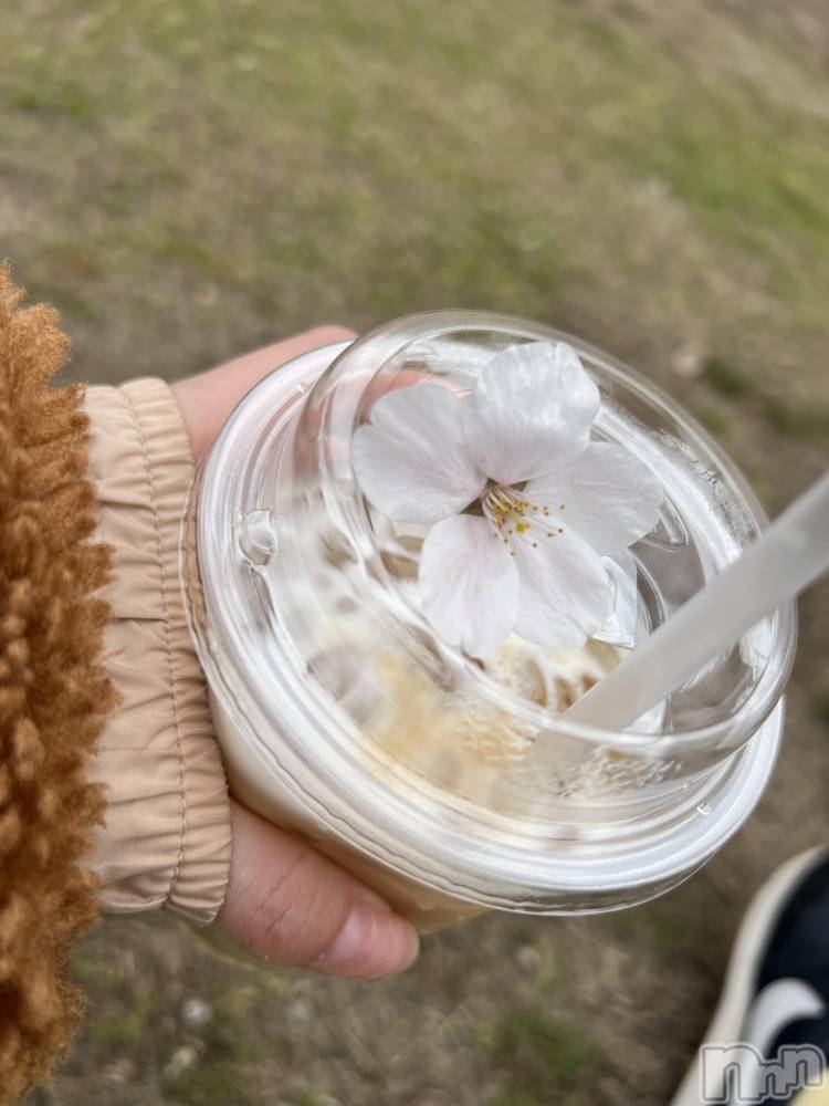 ʥå륺СʥåBar Peace(ʥåС ԡ) 417̥֥😫🌸